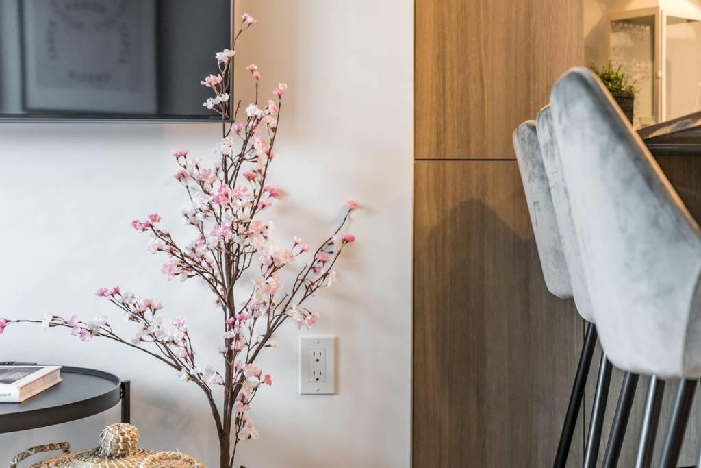 Initial / Fleuriste +parking / Centre-ville Qc Appartement